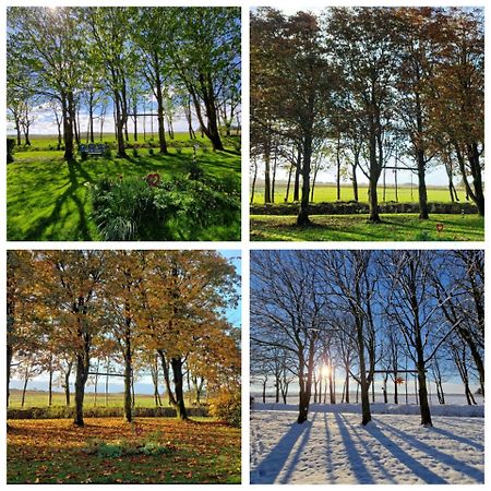 Ferienwohnung Sort Sol Grellsbuelldeich 7 Aventoft Exteriér fotografie