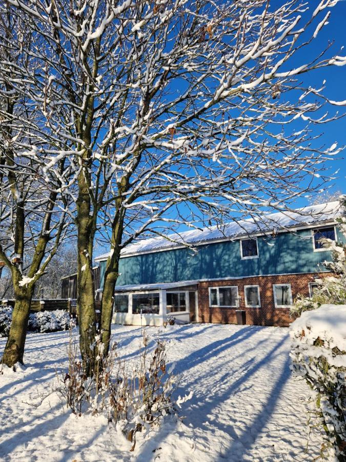Ferienwohnung Sort Sol Grellsbuelldeich 7 Aventoft Exteriér fotografie