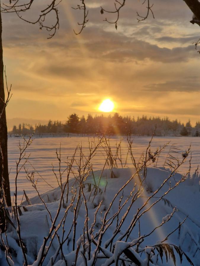 Ferienwohnung Sort Sol Grellsbuelldeich 7 Aventoft Exteriér fotografie
