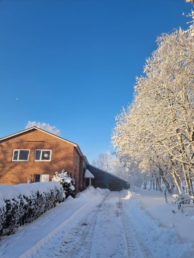Ferienwohnung Sort Sol Grellsbuelldeich 7 Aventoft Exteriér fotografie