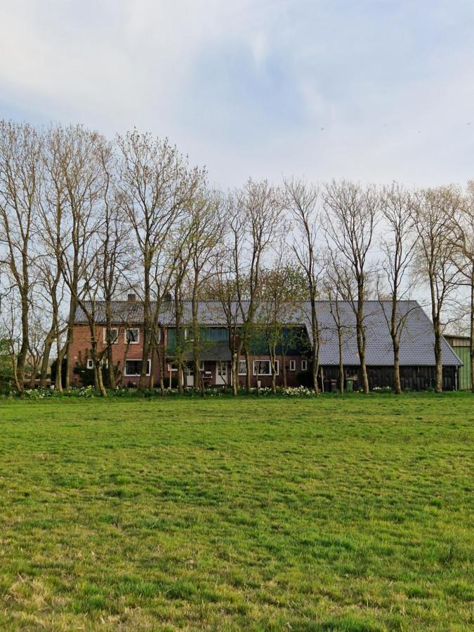 Ferienwohnung Sort Sol Grellsbuelldeich 7 Aventoft Exteriér fotografie