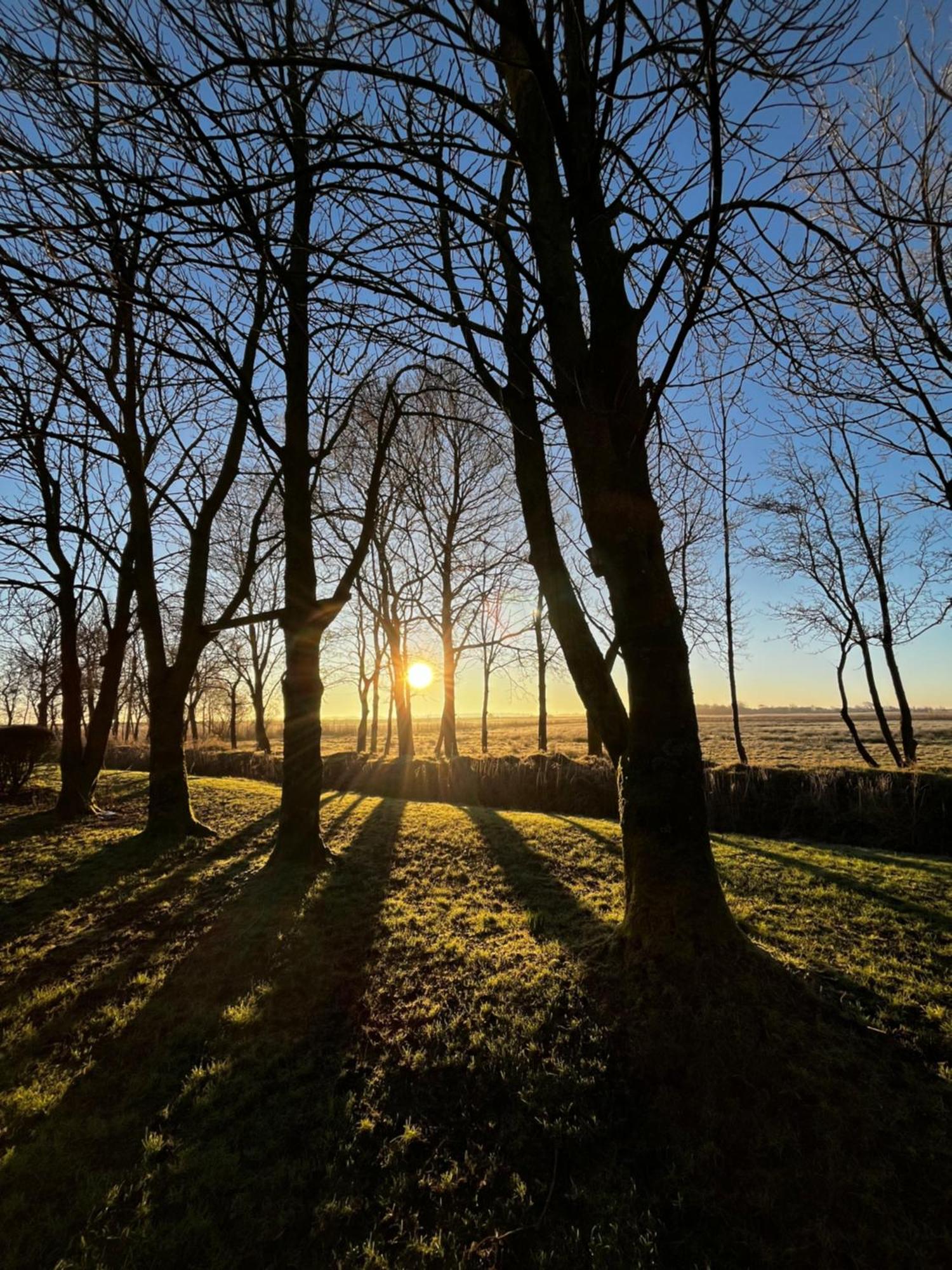 Ferienwohnung Sort Sol Grellsbuelldeich 7 Aventoft Exteriér fotografie