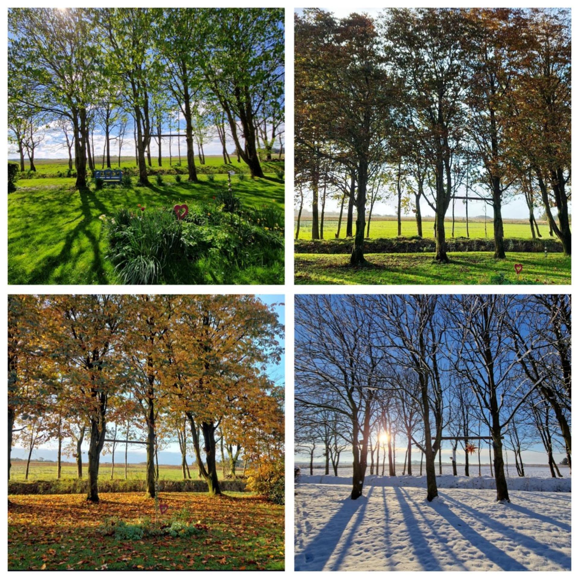 Ferienwohnung Sort Sol Grellsbuelldeich 7 Aventoft Exteriér fotografie