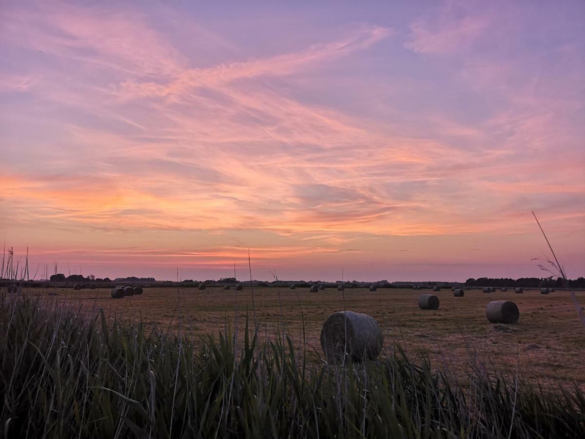 Ferienwohnung Sort Sol Grellsbuelldeich 7 Aventoft Exteriér fotografie